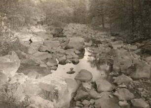 Chemnitztal bei Schweizerthal. Das Flußbett talab