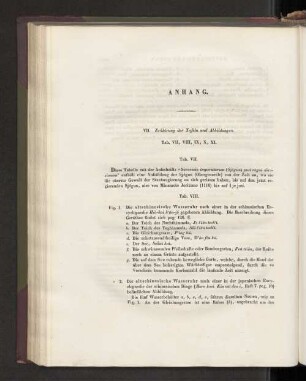 Anhang. VII. Erklärung der Tafeln und Abbildungen.