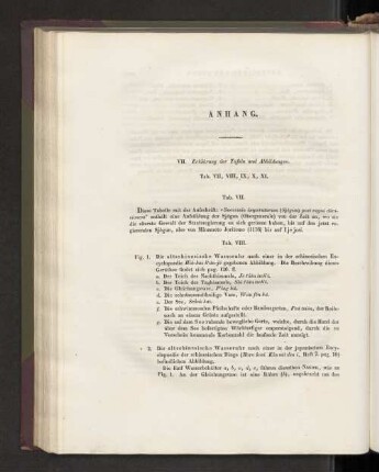 Anhang. VII. Erklärung der Tafeln und Abbildungen.
