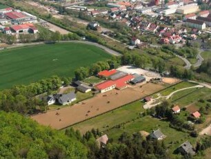 Dingelstädt