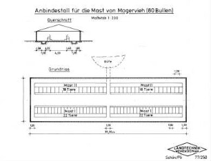 Anbindestall für die Mast von Magervieh (80 Bullen) M 1:200