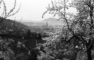 Blick auf Freiburg mit Schönberg durch die Blüten der Eichhalde mit rundem Blütenzweig im Bild