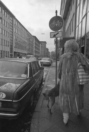 Blockierung des Fahrradwegs in der Lammstraße zwischen Hebelstraße und Friedrichsplatz durch parkende Autos