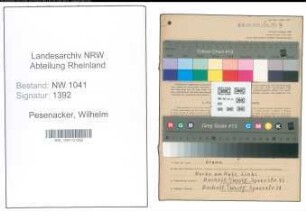 Entnazifizierung Wilhelm Pesenacker , geb. 21.07.1899 (Passiermeister)