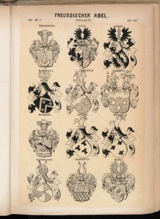 Taf. 381. Robakowski. - Röbe. - Röbel. - Roberts I. - Roberts II. - Roberts verm. - Rochcicki. - Rochow. - Rochow var. - Rockhausen. - Rodbertus. - Rode I.