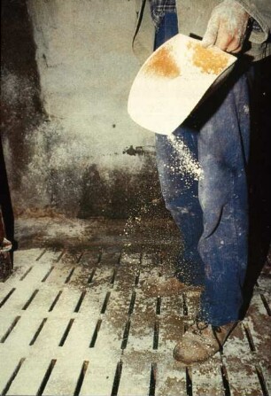 Fotografie: Vollspaltenboden, Hygiene & Pathologie, Handarbeit