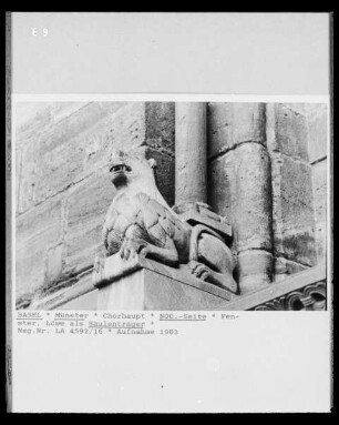 Löwe als Träger einer Fenstersäule