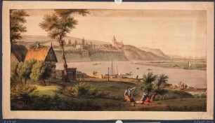 Blick über die Elbe nach Westen auf Briesnitz bei Dresden mit dem Belvedere und der Kirche, im Vordergrund Häuser und Bootsplatz
