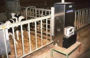 Fotografie: Fütterungstechnik, Kalb, Tränkeautomat, Gruppenhaltung