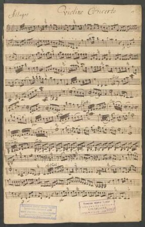 Violino concerto