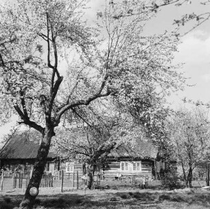 Spreewald. Historisches Wohnhaus
