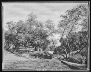 A Ouiet Retreat