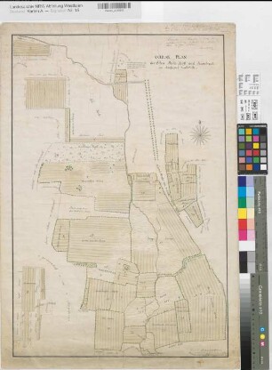 Walstedde (Drensteinfurt) Ländereien der Erben Beckendorf und Hambrock 1812 ca 1 : 4200 67 x 45 kol. Zeichnung KSM Nr. 31