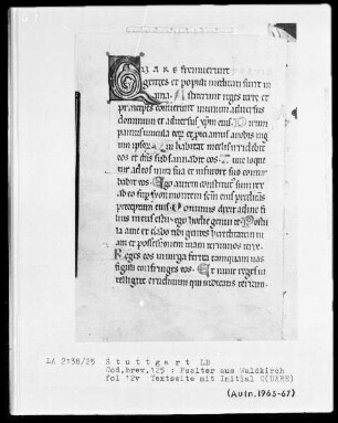Psalter aus Waldkirch bei Freiburg — Initiale Q (are), Folio 12 verso