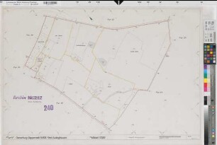 Seppenrade (Lüdinghausen), Umlegung Seppenrade, Urkarte II Flur 41
