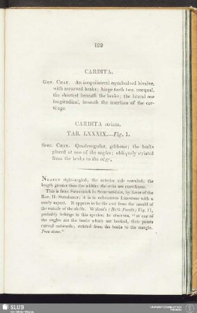 Cardita striata. Tab. LXXXIX. - Fig. 1