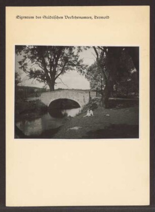 Brücke im Johannettentaler Kuhkamp / rechts im Vordergrund sitzender Junge im Matrosenanzug. Detmold. Kernstadt. Papierabzug