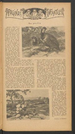 La perdiz : Páginas infantiles