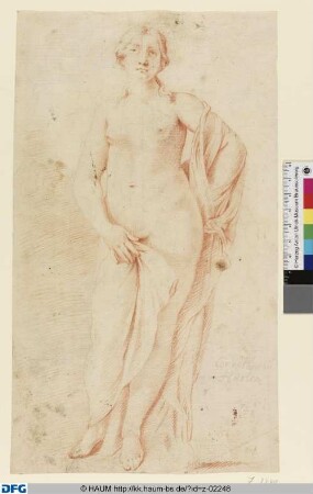 Venus als Ganzfigur, stehend von vorn
