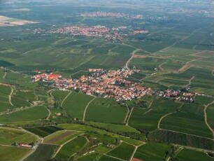 Kallstadt (Pfalz)
