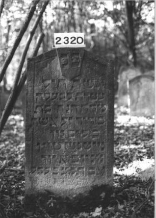 Grabstein 2320