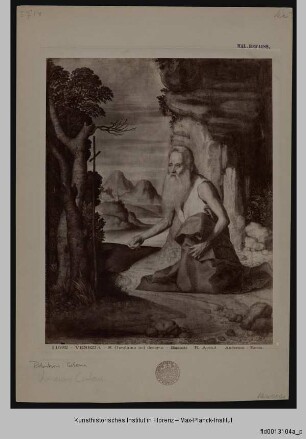 Heiliger Hieronymus