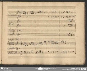 Cavatina: "Perche per mio tormento"