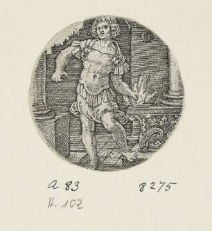 Mucius Scaevola