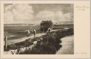 "Auf dem Heimweg (Im Ries)" aus der Reihe "Wiechmann-Bildkarten. Sammlung 127. Im Ries (Schwaben)"