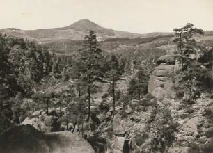 Zittauer Gebirge. Mühlsteinbrüche. Blick vom Brummerlochweg am Aufstieg zum Albertfelsen zur Lausche