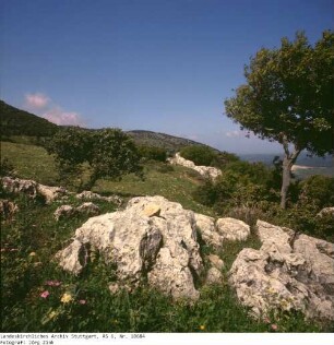 Israel: Karmel