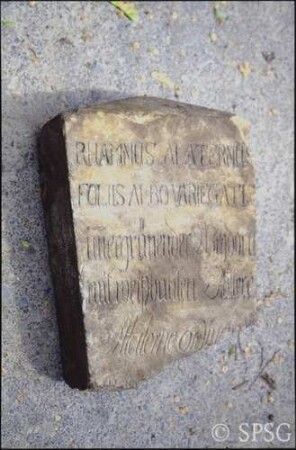 Potsdam, Park Sanssouci, Baumschule Sanssouci, gefundene Steinplatten mit Namen von Baumarten, Inschrift: Rhamnus alaternus (Stechpalmen-Kreuzdorn oder Immergrüner Kreuzdorn).