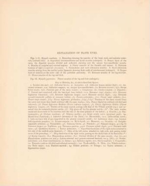 Explanation of plate XVIII.