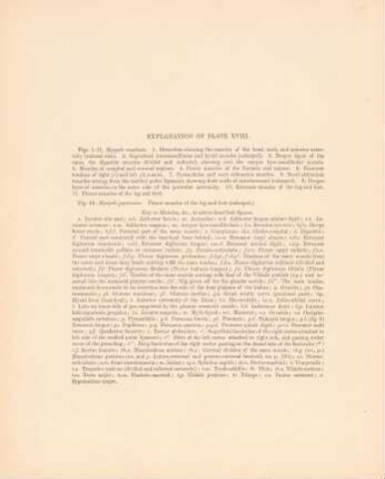 Explanation of plate XVIII.