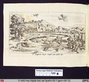 At Nympharum Hecates Scapulis timor addidit alas.