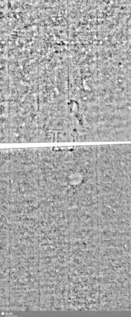 Lilie / Tj = Bd.1, S.225/226+233/234