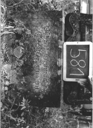 Grabstein 581 (Index: 99895377) Material: Sandstein Zustand: gut, Sockel verwittert Maße HxBxT: 165x56x22 cm Beschreibung: Stele mit Konvexbogenabschluss; Sockel Symbolik: aufgeschlagenes Buch, floral: Grabstein 581 (2)