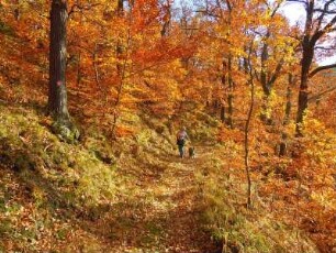 Herbsttag im Selketal : Das Tal des kleinen Flusses Selke im Unterharz ist ein beliebtes Wandergebiet. Aufgenommen an einem sonnigen Herbsttag, am 21. Oktober 2012, bei Alexisbad