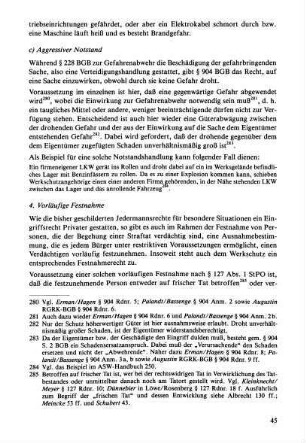 4. Vorläufige Festnahme