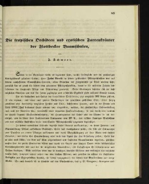 Die tropischen Orchideen und exotischen Farrenkräuter der Flottbecker Baumschulen