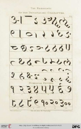 The Elements of the Devanagari Character