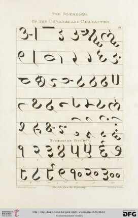 The Elements of the Devanagari Character