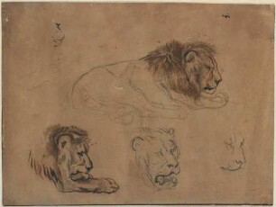 Studienblatt mit vier Löwenköpfen