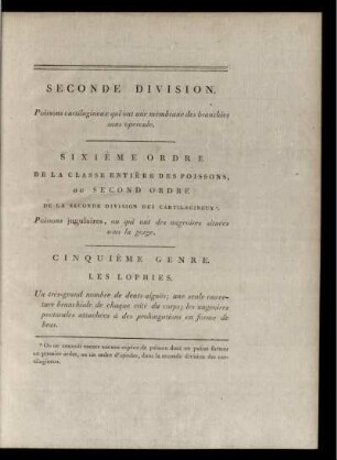 Seconde Division Sixiéme Ordre