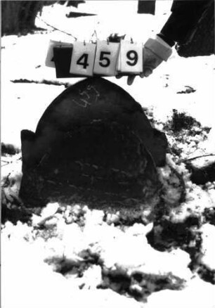 Grabstein 459 abgeschiefert: Grabstein 459