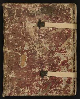 Petrus de Tarentasia (Innocentius V. papa) - Sermones : Hdschr. 183