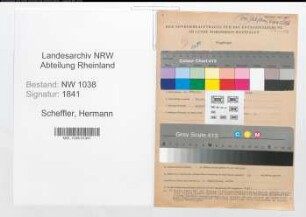 Entnazifizierung Hermann Scheffler , geb. 06.02.1894 (Angestellter)
