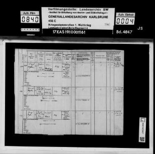 2. Ersatz-Batterie