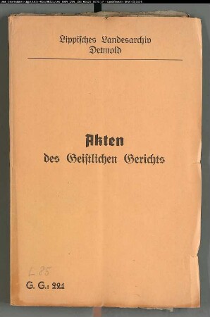 Liesabeth Beck, Heidenoldendorf, Beck Johanns Schwester gegen Johann Heißenberg zu Heidenoldendorf, wegen einer Eheklage; 22.1.1684 sind partes in Herrn Superintendenten Haus kopuliert