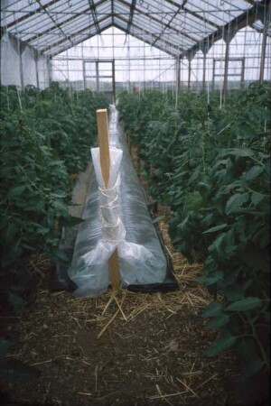 Fotografie: Gartenbautechnik-Gewächshaus, Energiequelle